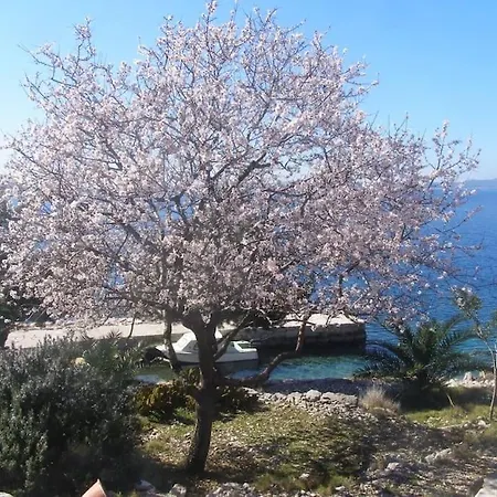 Kuca Za Odmor Island Just For You- Island Sit Nyaraló