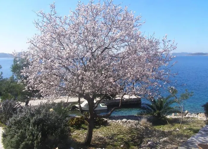 Kuca Za Odmor Island Just For You- Island Sit Hébergement de vacances